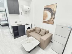 深圳龙华龙华区政府高配拎包入住 席梦思真皮沙发商务配套 业主直签 不是中介出租房源真实图片