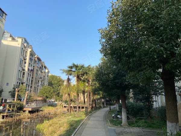 苏州吴中木渎棕榈湾尼盛山庄棕榈湾二房精装修免物业费2600采光好
