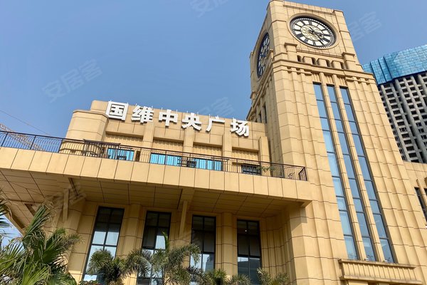 国维中央广场(商住楼)