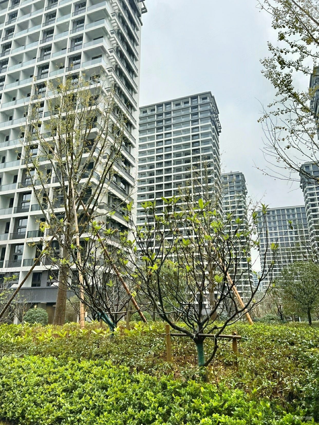 杭州房产网>杭州二手房>临安二手房>临安城区二手房>南樾府>