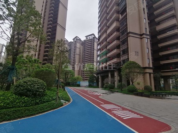 南宁良庆五象大道龙光天瀛3300元每月整租面议精装龙光天瀛112平3室