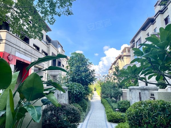 南宁兴宁区政府中海九玺(别墅)吾悦广场对面 中海九玺 整栋别墅 配齐