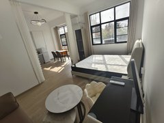 合肥高新客运西站安医附院 天源迪科 海亮九台别墅超大南向套内 软件园汽车西站出租房源真实图片