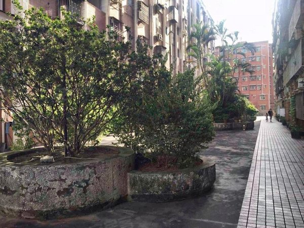 【多图】世界花园米兰居,华侨城租房,华侨城温馨大两房,近世界之窗