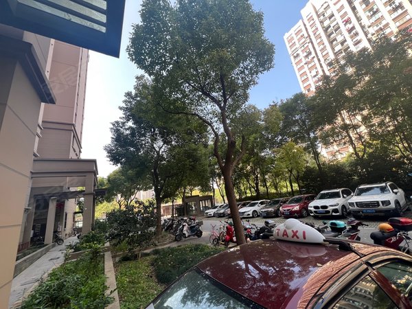 上海浦东三林城林美苑(西区)8号线沿线整租两室一厅一厨一卫 楼层好