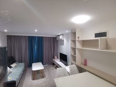 东莞黄江天虹融创公园首府(商住楼) 2室1厅1卫  电梯房 精装修出租房源真实图片