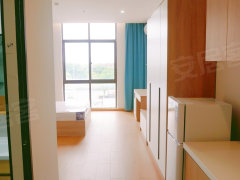 上海浦东新场新场工业园区新出好房，初次出租，一室一厅一卫，采光好，安静舒出租房源真实图片