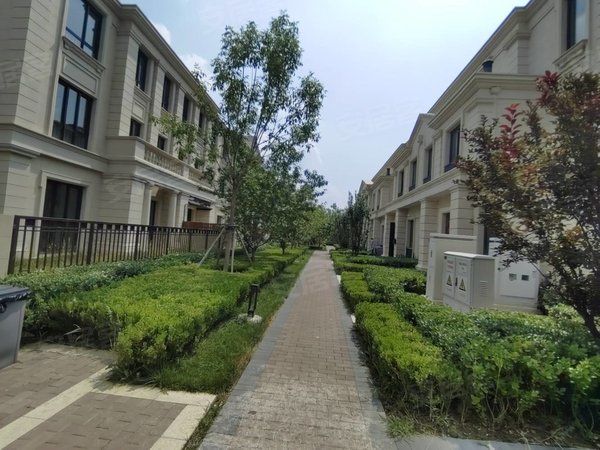 天津静海团泊镇伍仟岛橡树岛出租精装别墅,带阁楼,有车位,钥匙在手