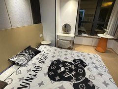 房东直Z！九龙湖地铁口 精装修公寓 可短租0中介拎包入住!