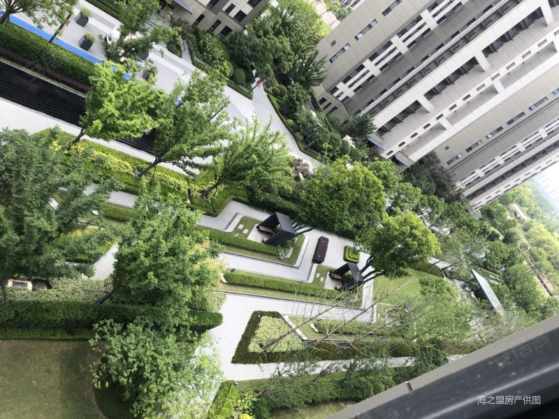 有钥匙仁恒城市星徽采光好