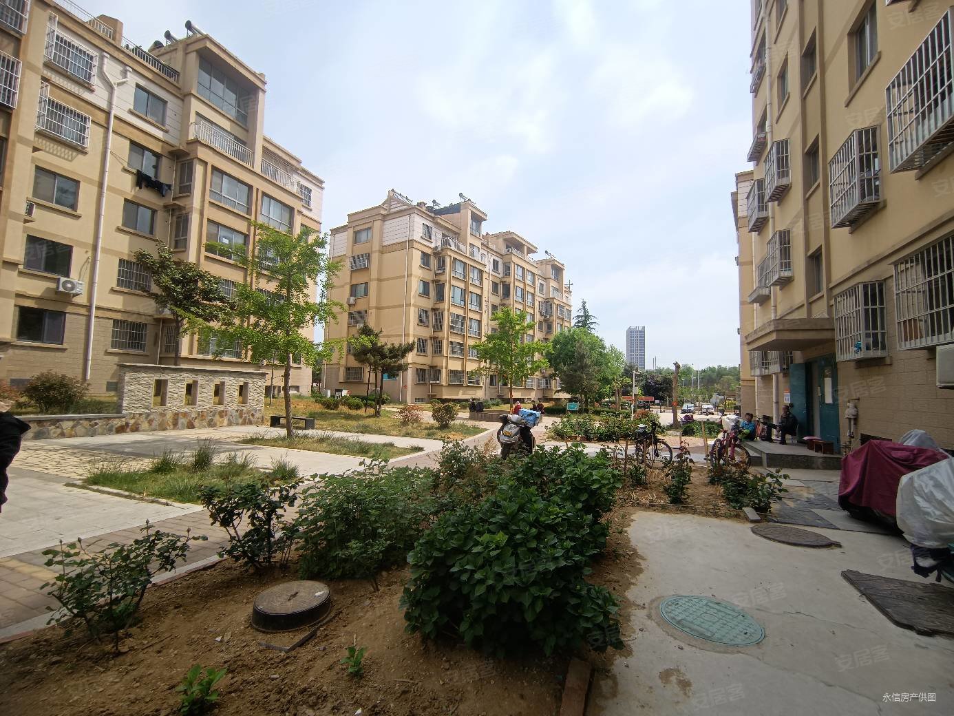 皇冠南区金海湾花园标准三室方厅住人2楼带外开门储藏室