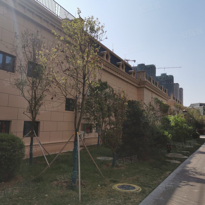 【瑞马意墅(别墅), 瑞马意墅(别墅)小区专家解读页】- 济宁58同城