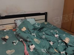 哈尔滨道里中央大街中央大街红专街早夜市四楼，看房随时拎包即住出租房源真实图片