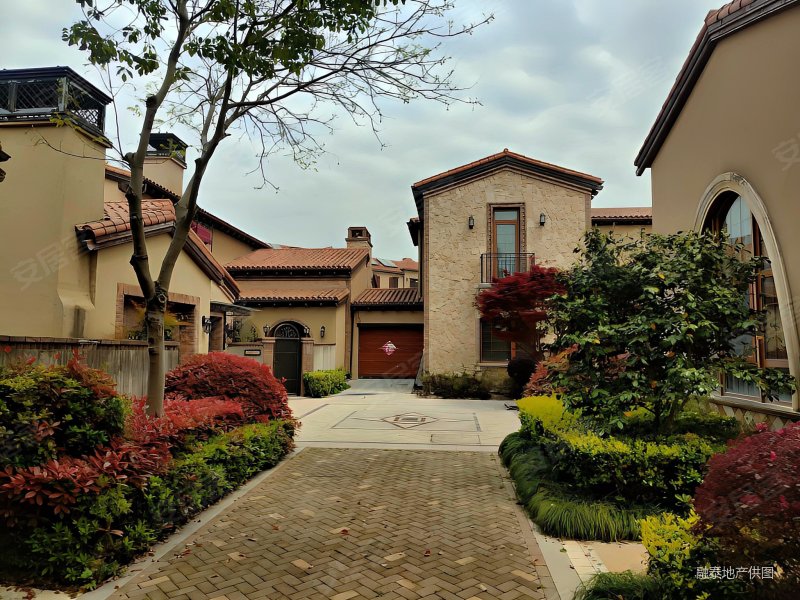 长泰淀湖观园别墅商品住宅独栋别墅