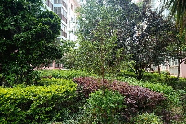 秀苑花园,秀苑巷2号-楚雄秀苑花园二手房,租房-楚雄安居客