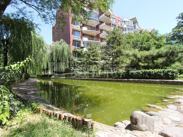 北京海淀四季青美丽园南北通透 4室2厅  美丽园出租房源真实图片