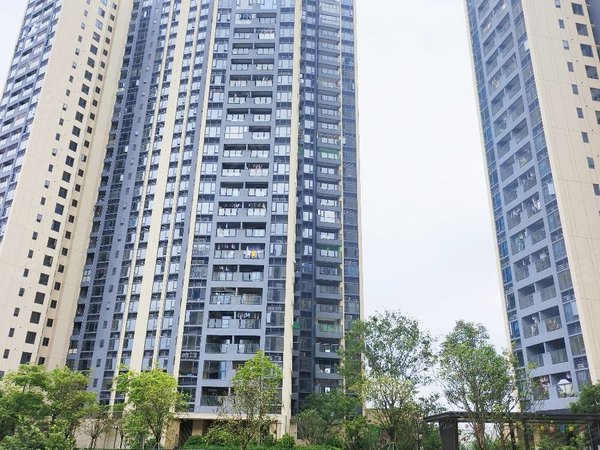 【多图】佳兆业金御佳园,平湖租房,平湖地铁站 融湖广场 精装两房