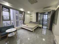 武汉黄陂盘龙城天纵城(商住楼) 1室1厅1卫  电梯房 精装修45平米出租房源真实图片