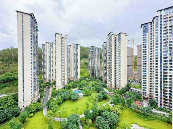 广州增城凤凰城碧桂园云顶凤凰城云顶4房 豪华装修 楼层采光好 南北