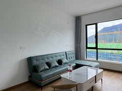 林芝巴宜民俗步行街出租工布明珠精装四室两卫,家具家电齐全,拎包入住出租房源真实图片