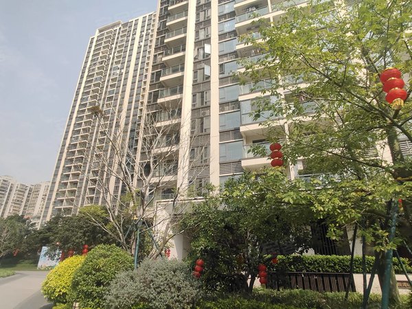 广州荔湾坑口保利西悦湾西悦湾2期全南向3房1厅,精装修没住过人,真实