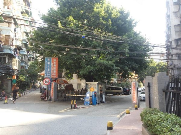 广州越秀水荫路水荫路34号大院实拍越秀5号线动物园站精装3房近水荫