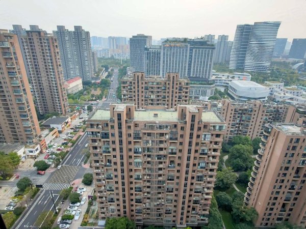 杭州滨江区政府欣盛东方郡(西区)东方郡西区 自住装修两房 干净清爽