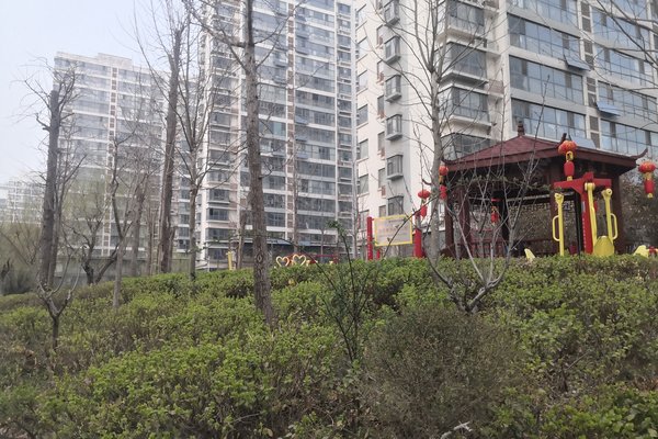 临沂小区 北城新区小区 老市委,天津路小区 齐鲁园