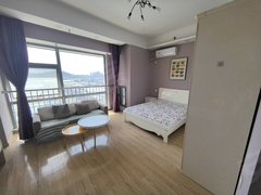 蚌埠蚌山新城区南翔城市广场 精装公寓 随时看房出租房源真实图片