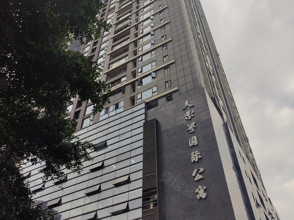 简阳天紫界小区好房推荐 牛王庙地铁口 电梯精装套二   真实图片 随时