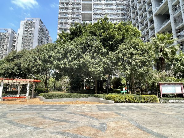 【多图】华南西苑,平湖租房,华南西苑精装三房出租,小区环境优美,出门