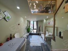 马厂 珠江好世界精装Loft两居室 品质小区 环境优美