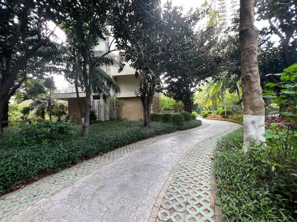 市区(凤凰水城红树湾)正规三房两房 年租4500元 拎包出租房源真实图片