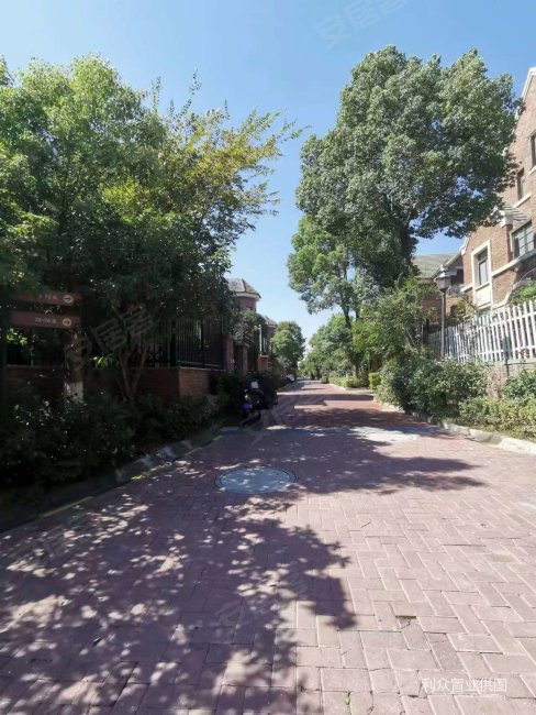 江宁大学城 独栋别墅花园400平 东方龙湖湾 价格低的没朋友