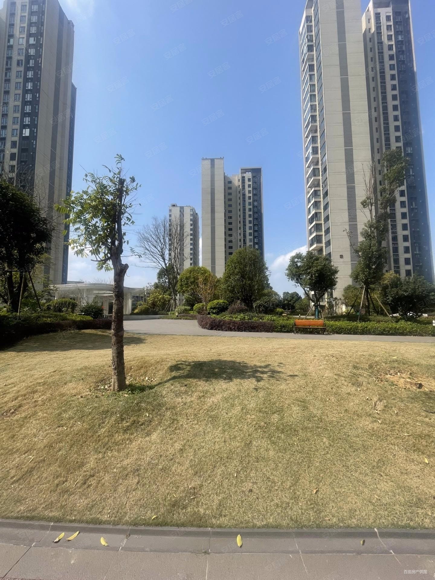 碧桂园十里江湾