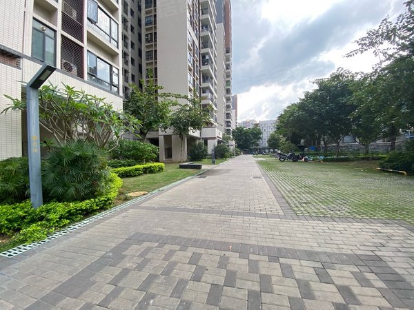 广州天河小新塘新泰小区网网红豪华精装一房一厅,新泰小区,楼下网易