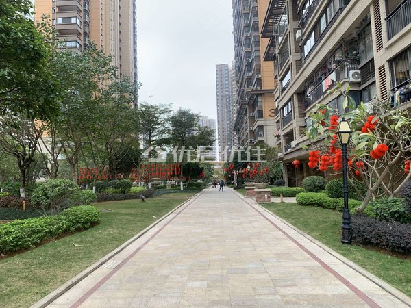 南宁青秀凤岭北联发君澜(二期)面议2500元每月精装3室74平联发君澜