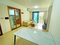 深圳龙岗坂田贝尔路地铁站 近乐荟 精装二房一厅带阳台 电梯采光好拎包入住出租房源真实图片