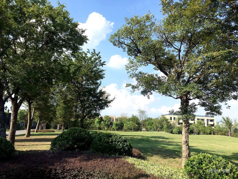 淀山湖壹号 临湖独栋别墅7房 花园4亩带游泳池 出门直观湖景