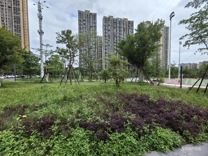 三房看公园,高楼层,总价低,龙湖嘉天下紫宸(一期)二手房,135万,3室2厅