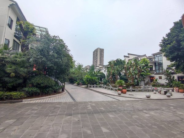 重庆渝北人和金科中华坊(别墅)财富中心 办公接待 中式园林小区 前后