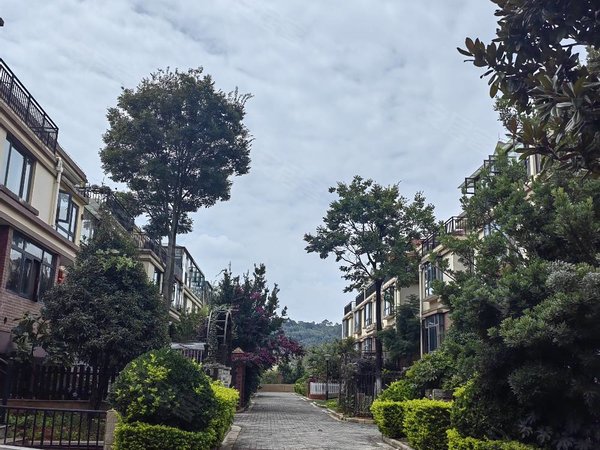 昆明呈贡建工新城思兰雅苑b区(别墅)经开区春漫大道联排别墅出租出租