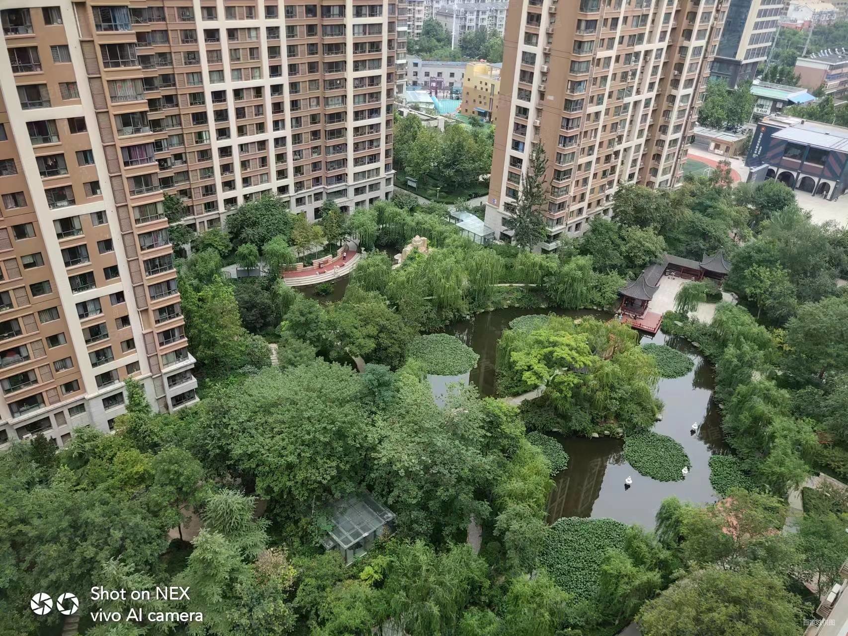 荣景园中间楼层正规朝南1室1厅采光视野好,满五 ,阿尔卡迪亚二手房