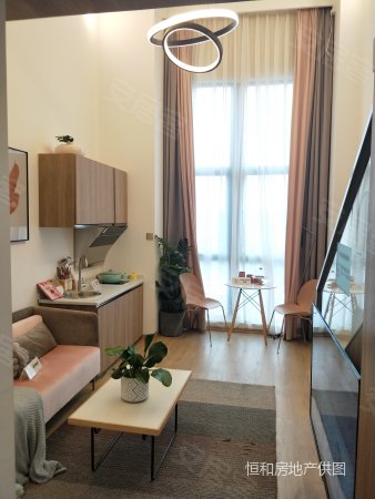 新都红街ncc 水电气三通 精装loft公寓 首付5层