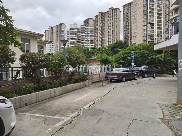 南宁青秀柳沙柳沙丽园柳沙丽园 精装 整租 面议 143平 4室 视野开阔