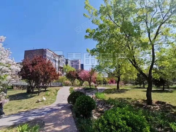 岳各庄租房,1室0厅 大成郡 企业力荐诚意出租,丰台租房-北京58安居客