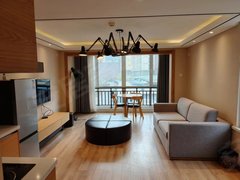 梦特芳丹国际公寓 精装修 电梯房 95平