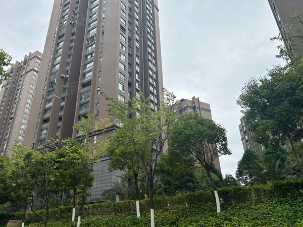 昆明呈贡老县城惠景园呈贡云大附中对面,端头精装修三房,领包入住!