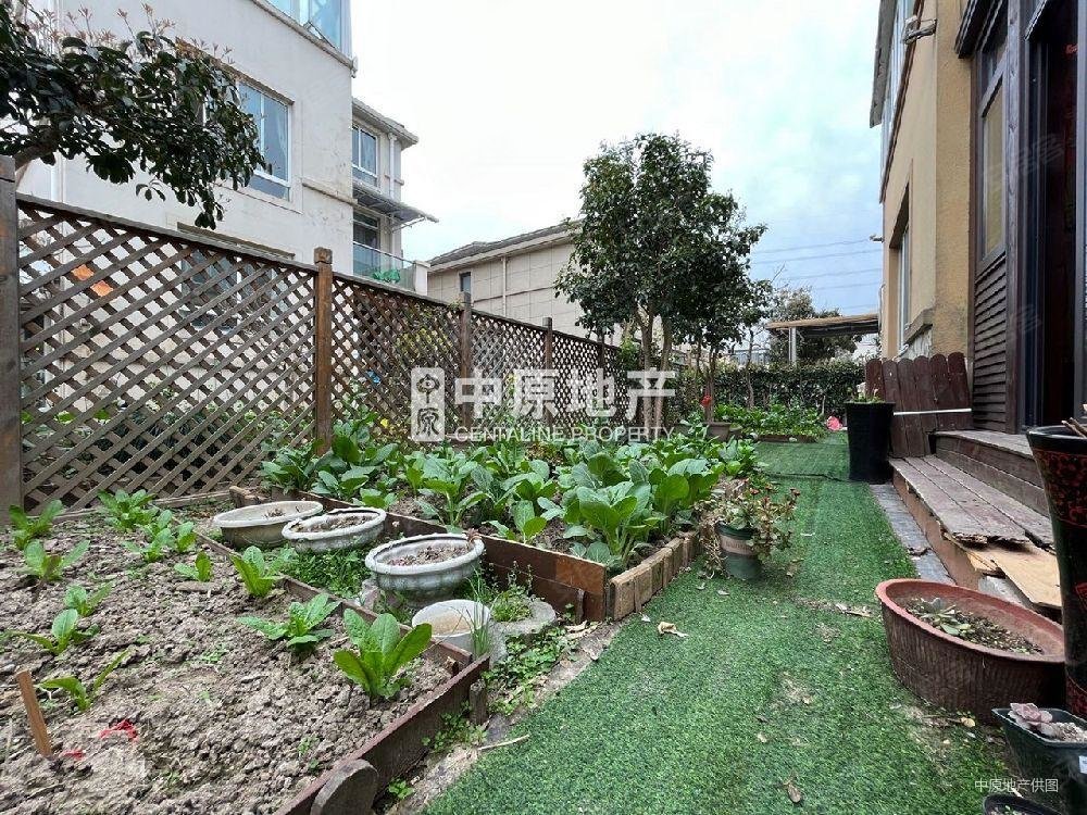 低容积,康桥半岛(1177弄别墅)二手房,1720万,4室2厅,3卫,252平米-上海