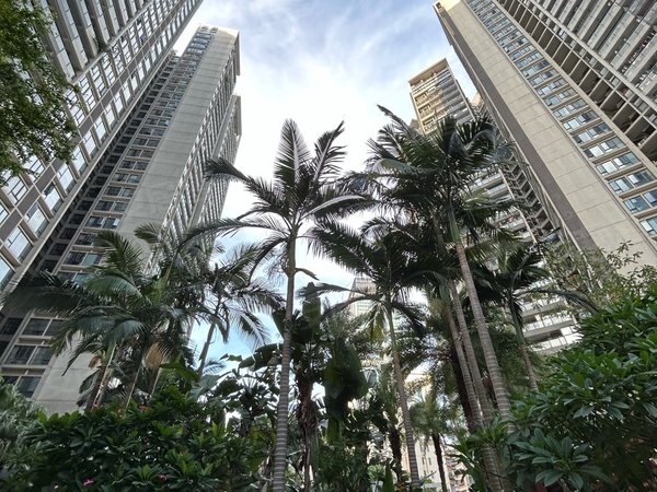 深圳南山南头田厦翡翠明珠花园南山文体中心,翡翠明珠,高品质花园豪华